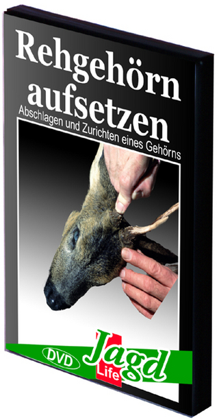 Rehgehörn aufsetzen