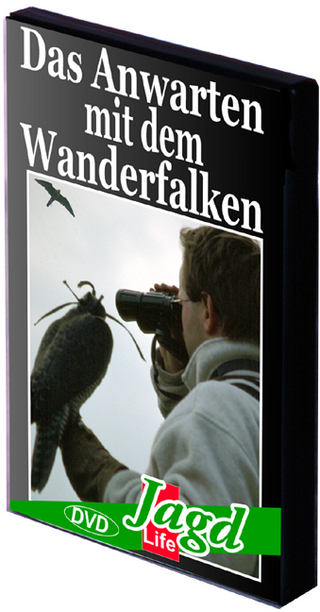 Das Anwarten mit dem Wanderfalken