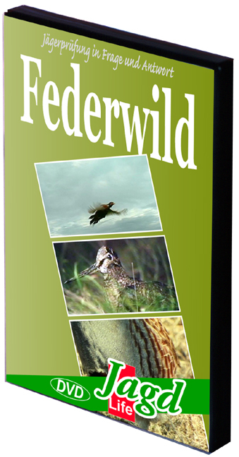 Federwild - Alfons Niedenzu