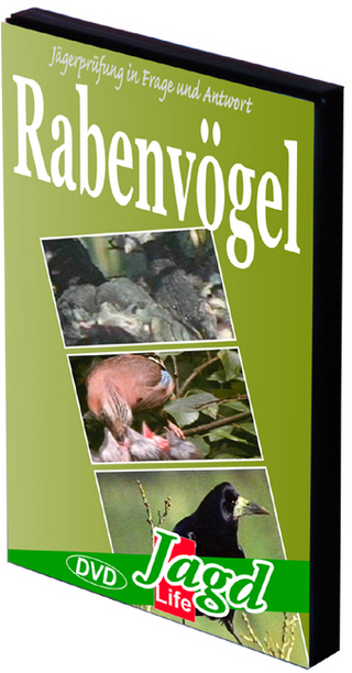 Rabenvögel