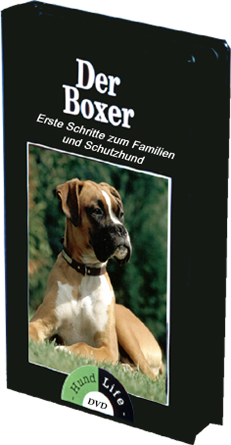 Der Boxer - Alfons Niedenzu