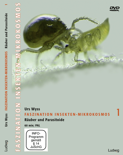 Faszination Insekten-Mikrokosmos 1 Räuber und Parasitoide - Urs Wyss