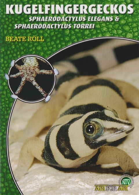 Kugelfingergeckos - Beate R&ouml;ll