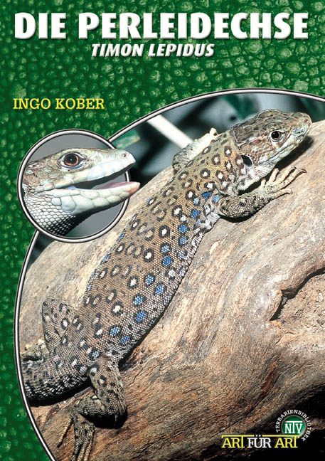 Die Perleidechse - Ingo Kober