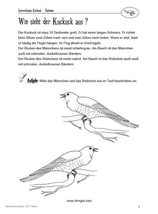 Lernwerkstatt Kuckuck