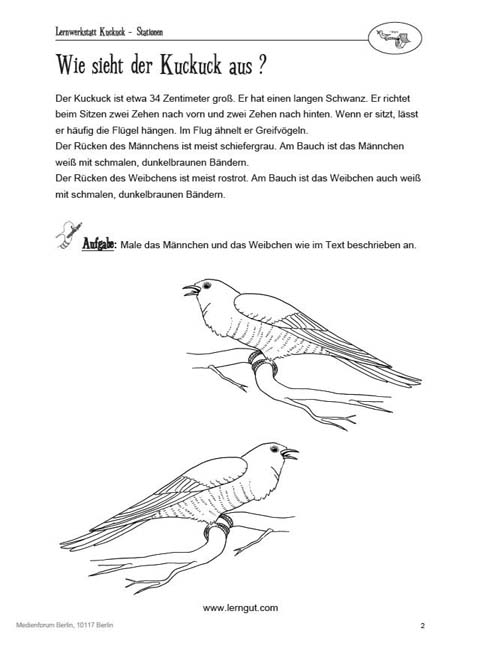 Lernwerkstatt Kuckuck - Nicole Kunz