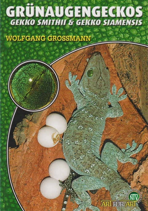 Gr&uuml;naugengeckos - Wolfgang Grossmann