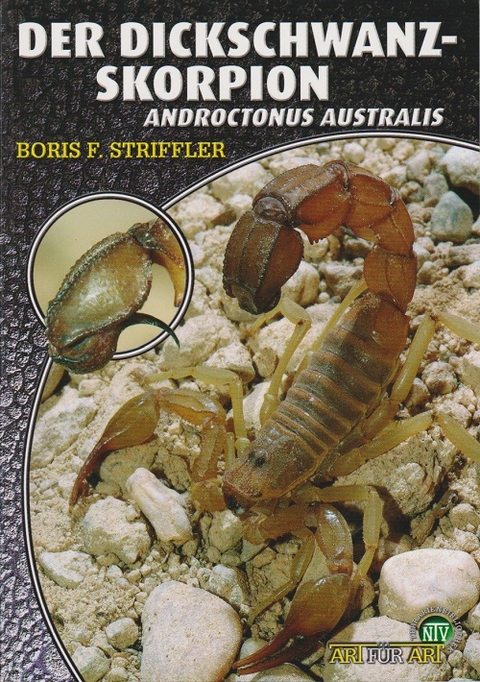 Der Dickschwanzskorpion - Boris F. Striffler