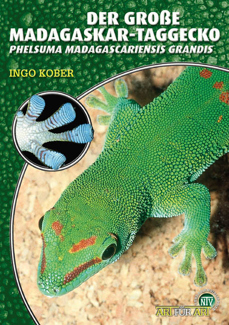 Der Gro&szlig;e Madagaskar-Taggecko - Ingo Kober