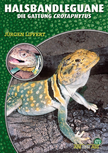 Halsbandleguane - J&uuml;rgen Lipfert