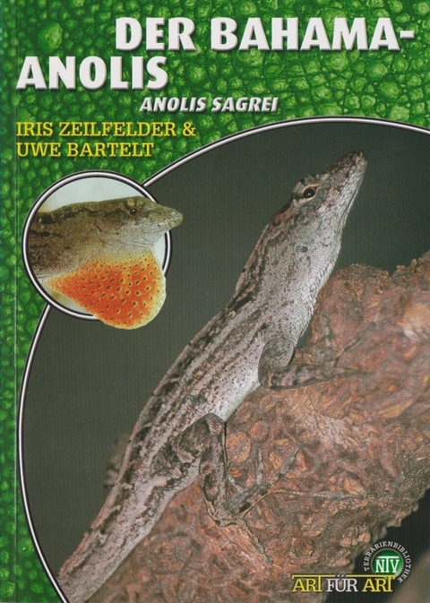 Der Bahama-Anolis - Uwe Bartelt, Iris Zeilfelder