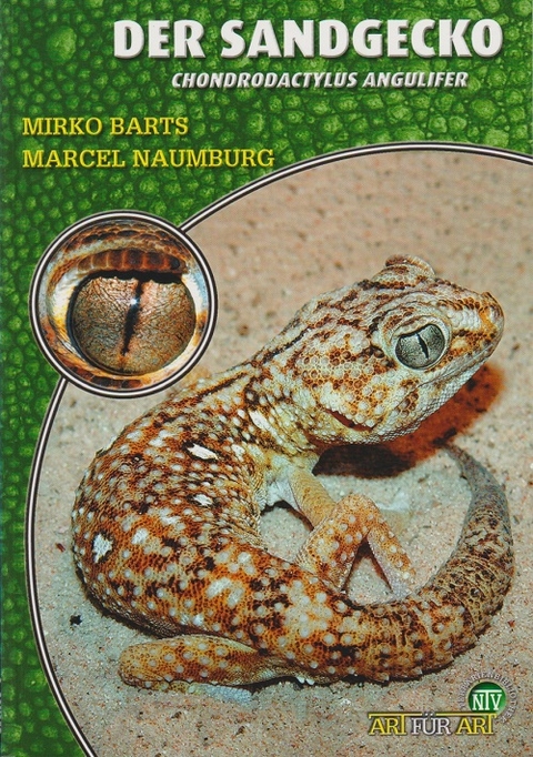 Der Sandgecko - Mirko Barts, Marcel Naumburg