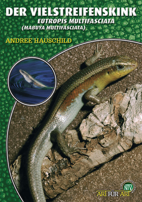 Der Vielstreifenskink - Andree Hauschild