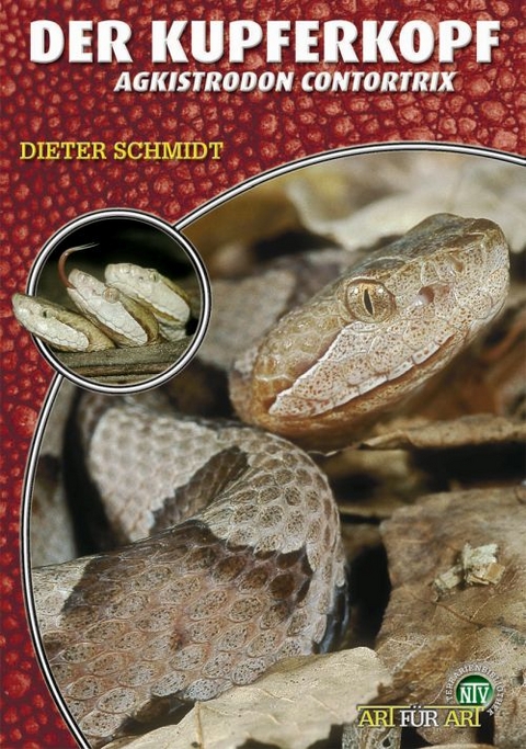 Der Kupferkopf - Dieter Schmidt