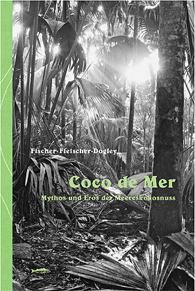 Coco de mer - 