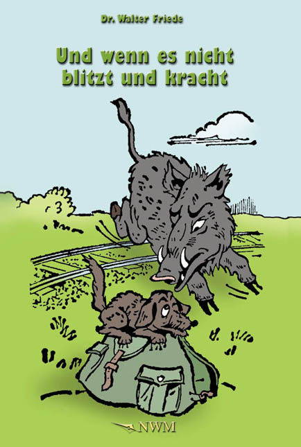 Und wenn es nicht blitz und kracht - Walter Friede