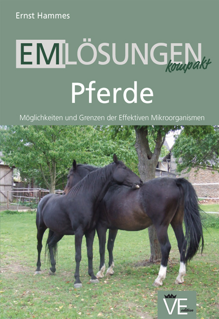 EM L&ouml;sungen kompakt - Ernst Hammes