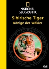 Sibirische Tiger