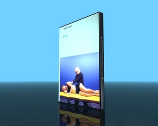 P N F - Propriozeptive Neuromuskuläre Fazilitation