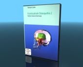 Die kraniosakrale Osteopathie. Rhythmic Balanced Interchange