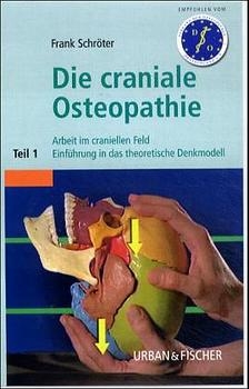 Osteopathie - Arbeit im craniellen Feld - Frank Schröter