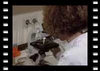 Moderne Labordiagnostik - Rudi Schn&uuml;rch