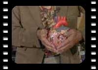 Intensivvorbereitung auf die Amtsarztpr&uuml;fung - Rudi Schn&uuml;rch