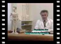 Biologische Regelkreise - Rudi Schn&uuml;rch