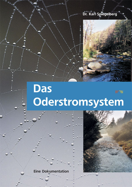 Das Oderstromsystem - Karl Spiegelberg