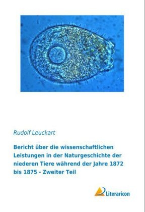 Bericht über die wissenschaftlichen Leistungen in der Naturgeschichte der niederen Tiere während der Jahre 1872 bis 1875