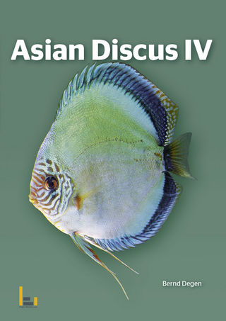 Asian Discus IV