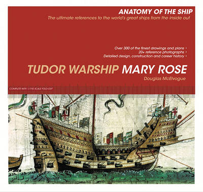 Tudor Warship Mary Rose - Douglas McElvogue