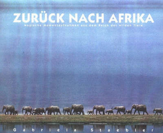 Zurück nach Afrika
