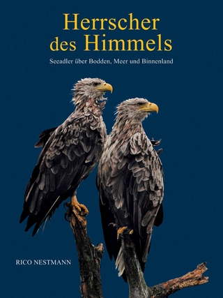 Herrscher des Himmels