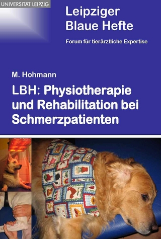 Physiotherapie und Rehabilitation bei Schmerzpatienten