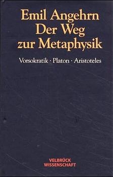 Der Weg zur Metaphysik - Emil Angehrn