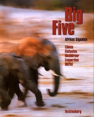 Big Five