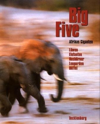 Big Five - Hubert Tecklenborg