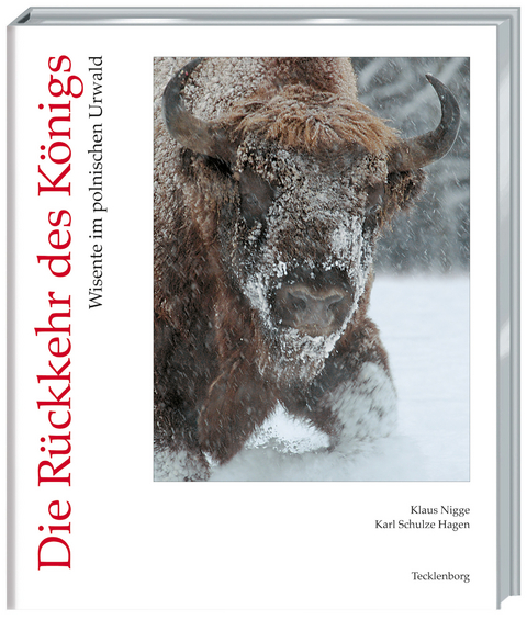 R&uuml;ckkehr des K&ouml;nigs - Carl Schulze-Hagen