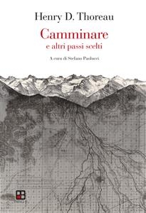 Camminare e altri passi scelti