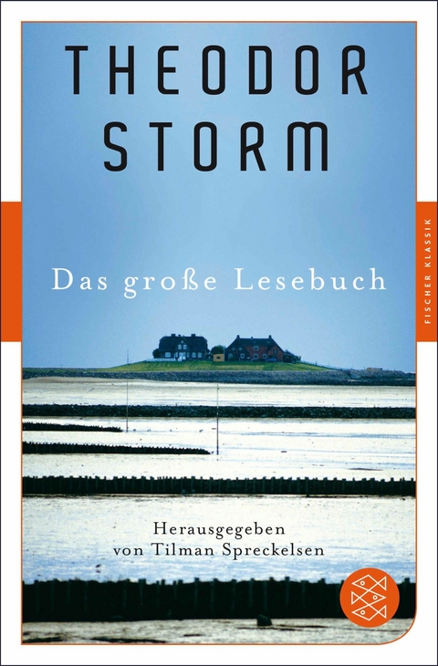 Das große Lesebuch - Theodor Storm