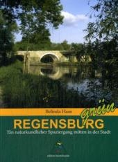 Regensburg grün