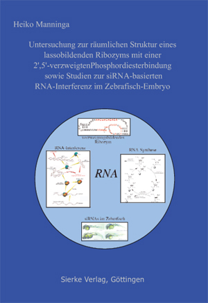 Untersuchung zur räumlichen Struktur eines lassobildenden Ribozyms mit einer 2',5'-verzweigten Phosphordiesterbindung sowie Studien zur siRNA-basierten RNA-Interferenz im Zebrafisch-Embryo