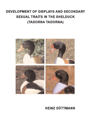 Development of displays and secondary sexual traits in the shelducks (Tadorna Tadorna)