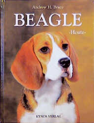 Beagle heute