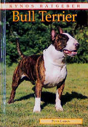 Bull Terrier