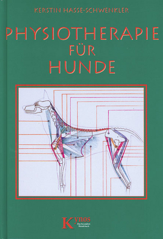 Physiotherapie für Hunde