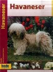 Praxisratgeber Havaneser
