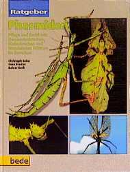 Ratgeber Phasmiden