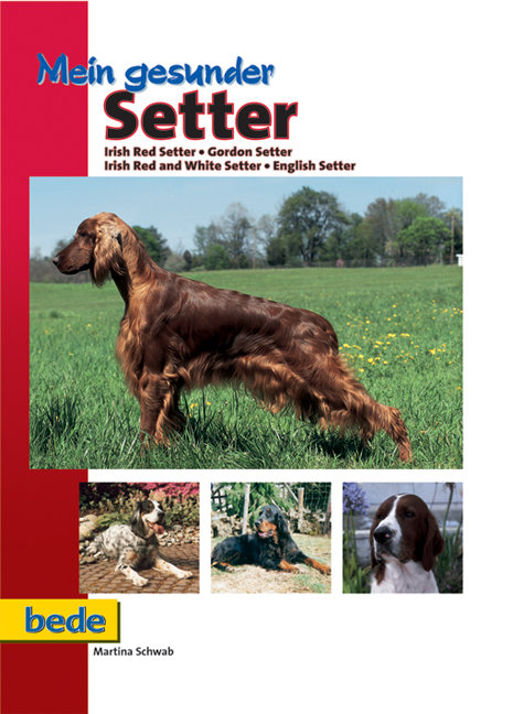 Mein gesunder Setter - Martina Schwab